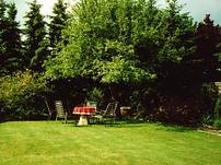 Lauschiges Pl&auml;tzchen im Garten